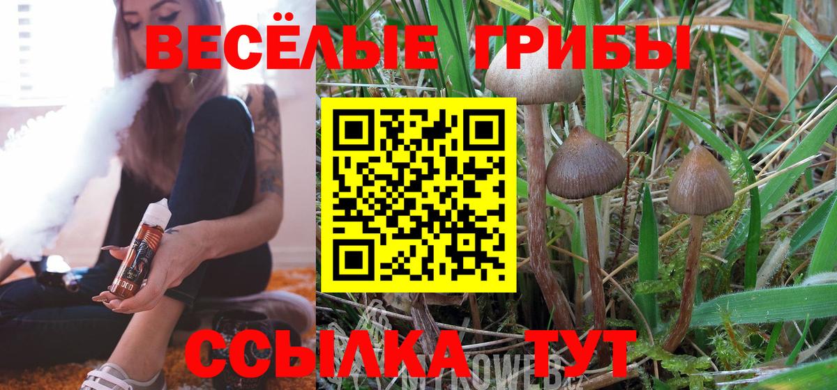 Галлюциногенные грибы Psilocybine cubensis Заводоуковск