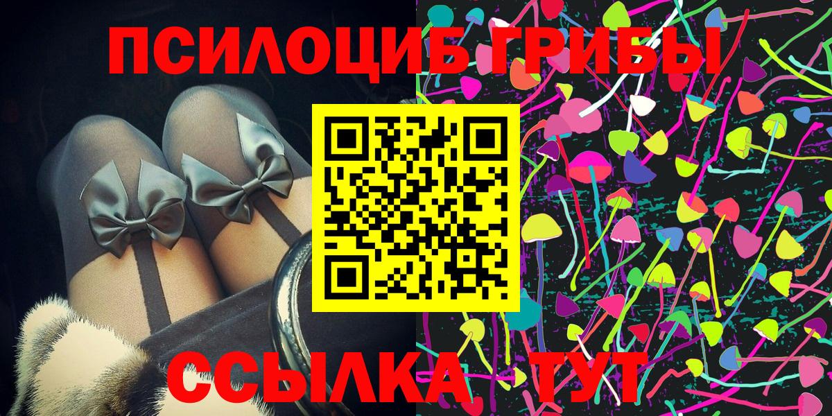 наркошоп  Псилоцибиновые грибы GOLDEN TEACHER  Вход с VPN  Заводоуковск 